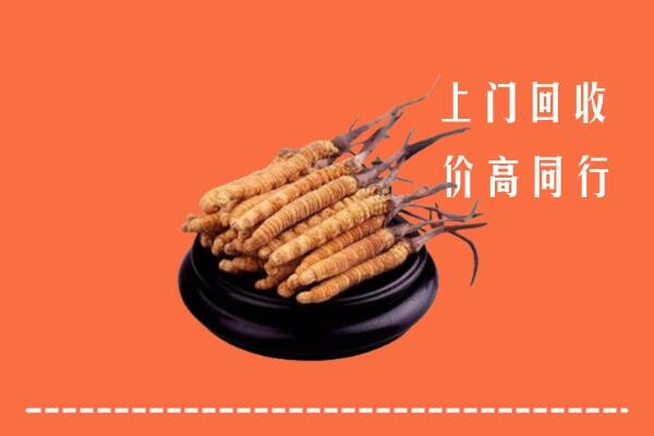 高价求购：陇南市两当回收散虫草