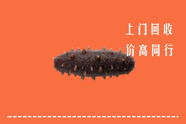 高价求购：陇南市两当回收海参